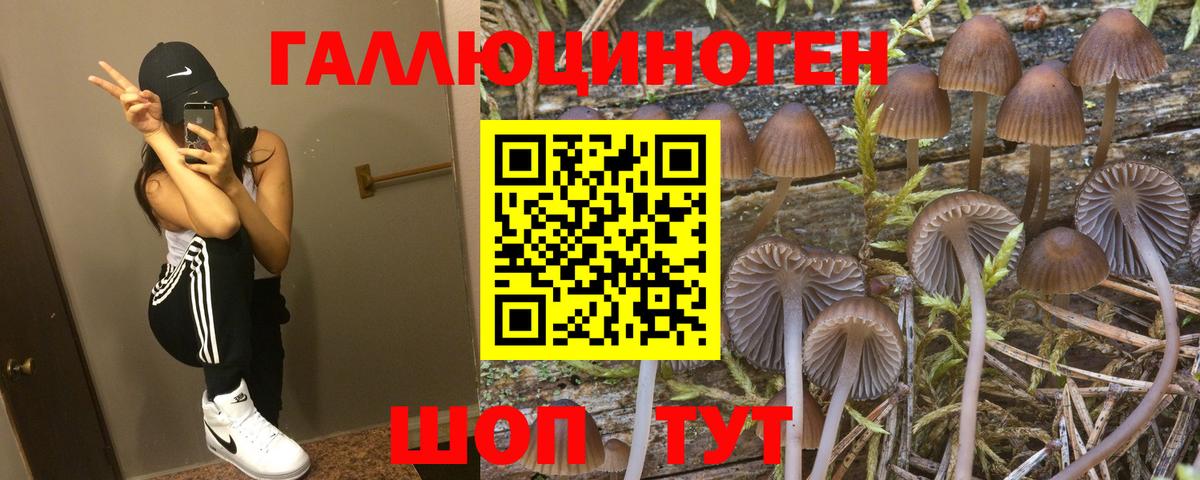 Наро-Фоминск  Галлюциногенные грибы GOLDEN TEACHER  Вход с VPN 